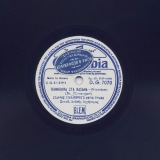 DG-7070 ΓΕΝΝΗΘΗΚΑ ΣΤΑ ΒΑΣΑΝΑ